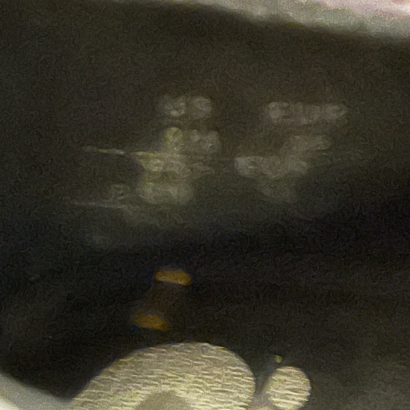 Circus By Sam Edelman Shoes Sz 8 - Picture 12 of 12